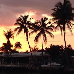 Meet your Posher, Janet